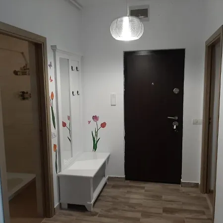 Apartament Apartament Adelina *